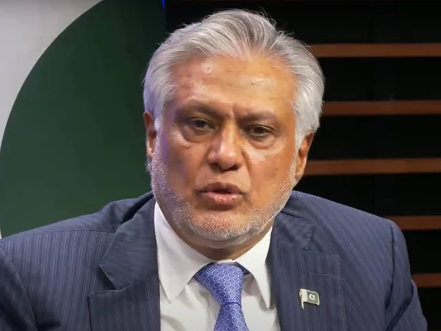 deputy prime minister and foreign minister senator mohammad ishaq dar photo screengrab