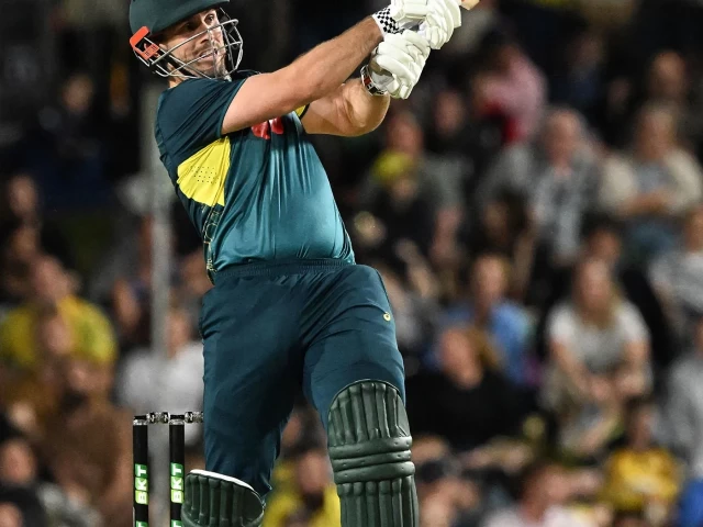 mitchell marsh will continue to lead australia in the three match t20i series against new zealand in mount maunganui photo afp