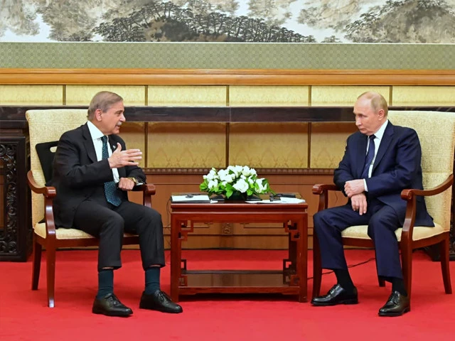 prime minister shehbaz sharif meets with russian president vladimir putin in beijing on september 2 photo x com govtofpakistan