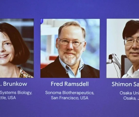 l r the portraits of mary e brunkow fred ramsdell and shimon sakaguchi are displayed during a press conference where the winners of the 2025 nobel prize in physiology or medicine are being announced at the karolinska institute in stockholm sweden on october 6 2025 mary e brunkow and fred ramsdell of the united states and japan s shimon sakaguchi won the nobel prize in medicine on monday for research into how the immune system is kept in check the nobel jury said photo afp